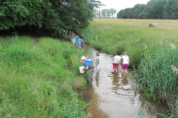 Projektwoche, Leben im Gundbach Foto: Miriam Kodek