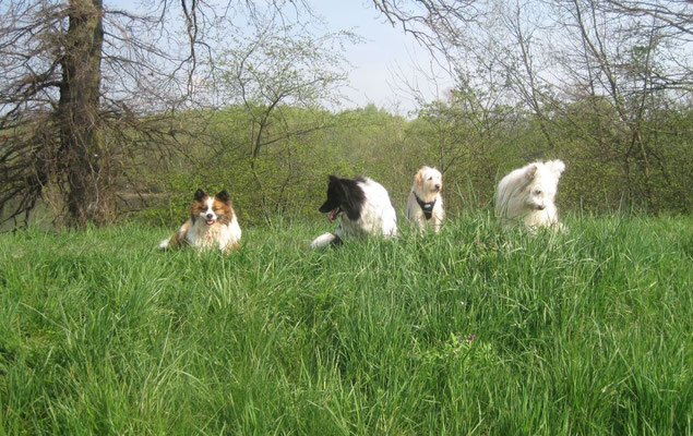 Bina, Karo, Lucie und Caatje