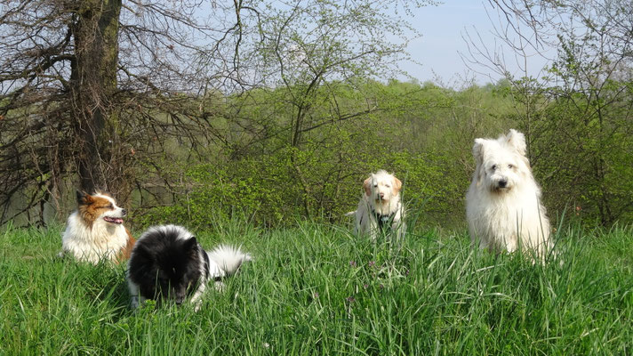 Bina, Karo, Lucie und Caatje