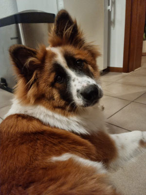 Kira am 19.11.2021