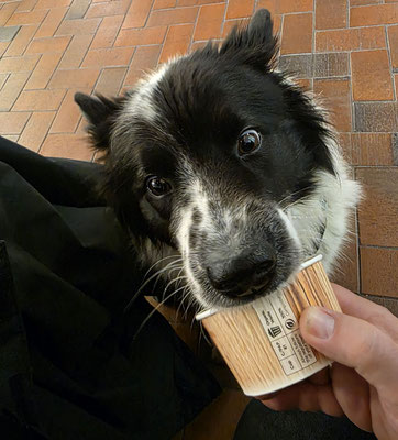 Bonnie schleckt ihr Geburtstagseis