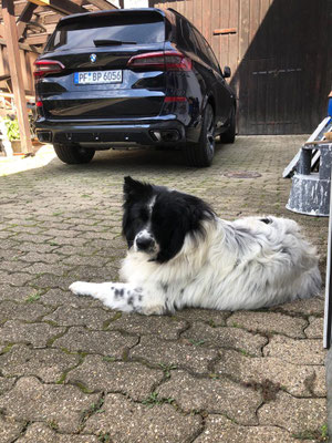 Carlo, 20.08.2023