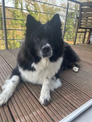 Bounty mit 2 Jahren