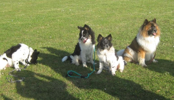 Karlo, Mogli, Karo und Al Bundi