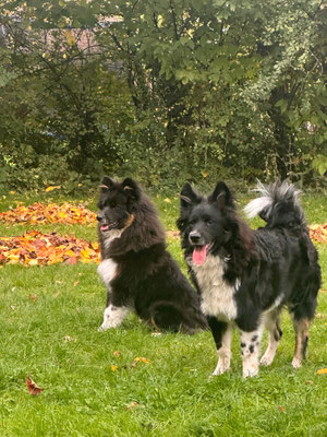 Calle und Jack Ende Oktober 2022