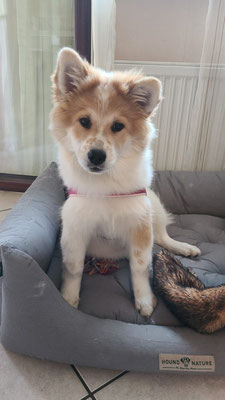Bailey am 15.07.2021
