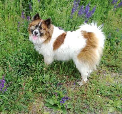 Karos Schwester Kleo