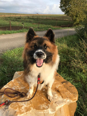 Milow, 1 Jahr alt