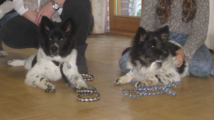 Karlo (Karos Bruder) und Karo
