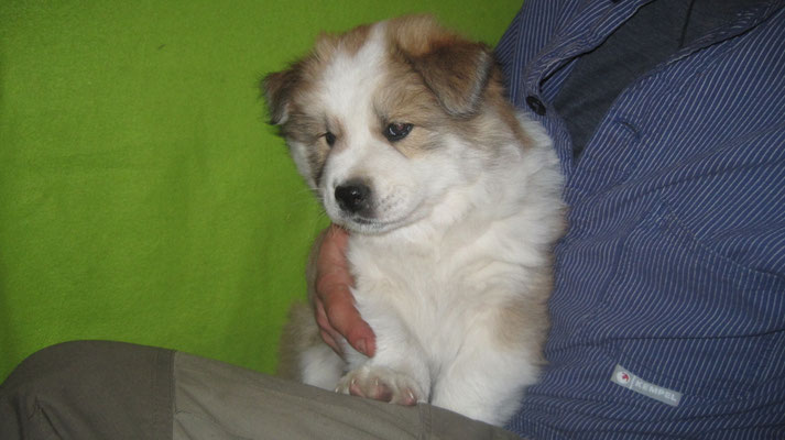 Balou am 28.04.2021