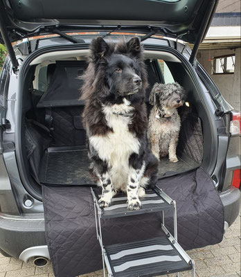 Cooper und Beppo