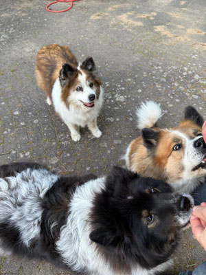 "Ömchen" Bina, Karo und ihre Tochter