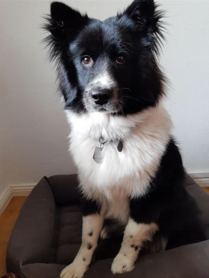 Mila am 12.02.2023 mit 9 Monaten