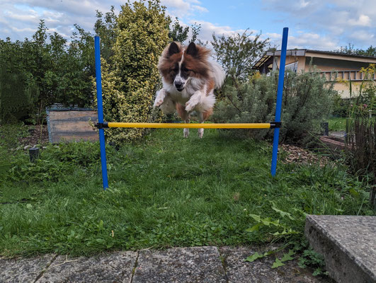 Kira ist sportlich! (Nov. 2023)