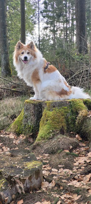 Bailey im März 2026