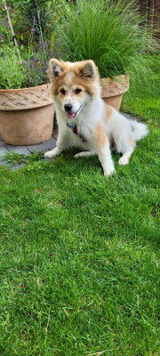 Bailey am 09.07.2021