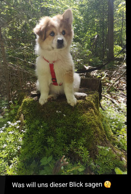 Bailey am 24.05.2021