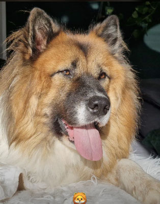 Mitch (Lehmann von der Kier), Jacks Kumpel, Oktober 2023