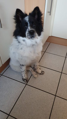 Bonnie am 18.08.2021