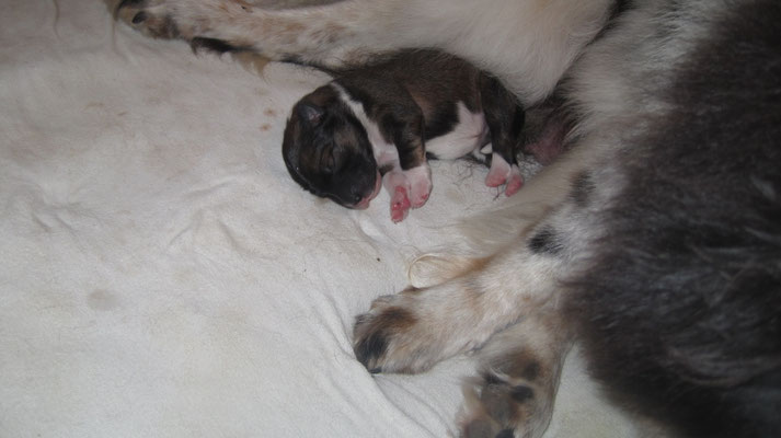 Luna, 3 Tage alt