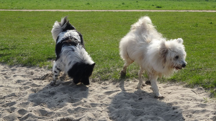 Karo und Caatje