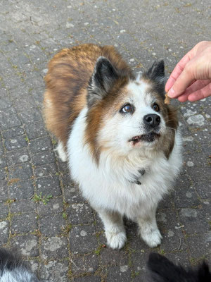 Wie klar Binas Blick da noch ist .....