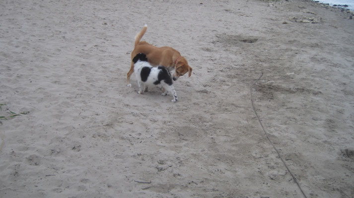 Wer bist denn Du?