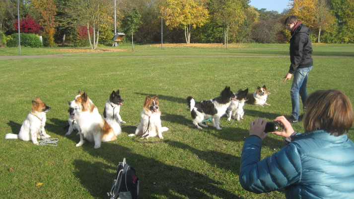Leo, Becky, Benjamin (Beckys Bruder), Karlo, Kleo, Mogli, Karo und Bina