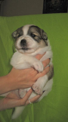 Bailey am 06.04.2021