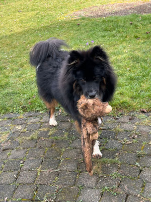 Calle und sein Wildschwein, Februar 2023