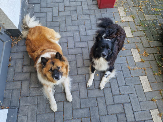 Jack und Mitch, Juli 2023
