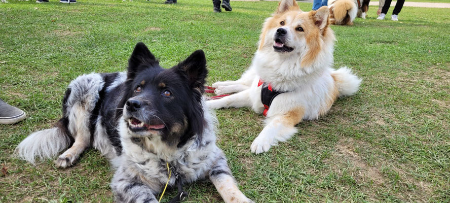 Karo und ihre Tochter Bailey