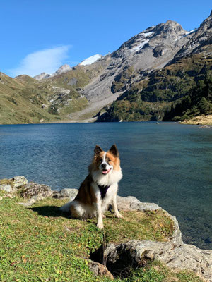 Aruna, 1 Jahr alt
