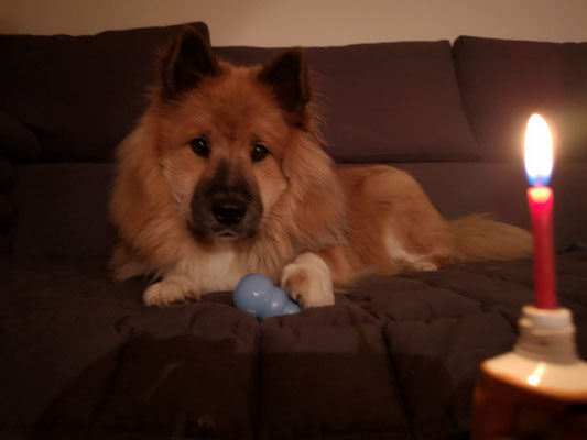 Luna an ihrem 1. Geburtstag
