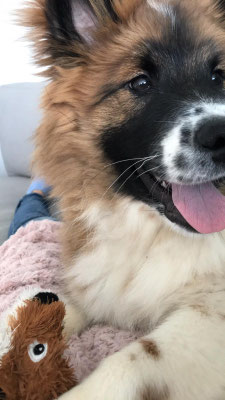 Milow mit 5 Monaten am 05.03.2019