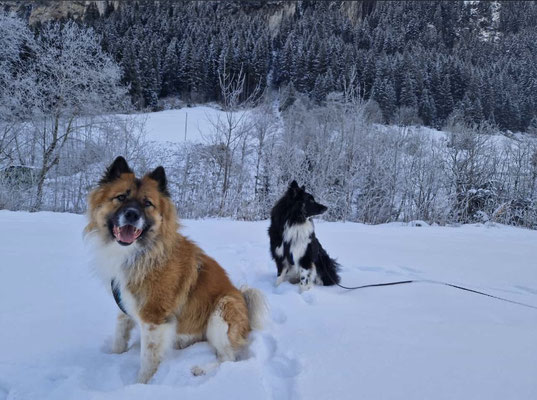 Januar 2023: Jack und Mitch sind im Winterurlaub im Zillertal