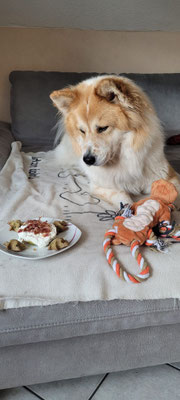 Bailey an ihrem 3. Geburstag
