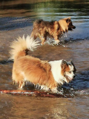 Lotte und Bina
