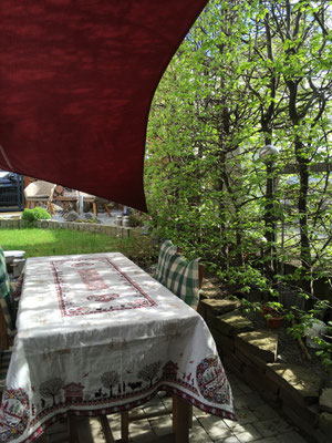 Die Buchenhecke Anfang Mai.
