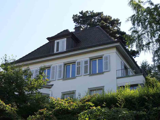 Einfamilienhaus Hadlaubstrasse, Zürich