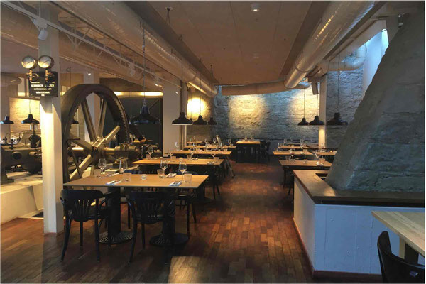 Blaue Ente, Mühle Tiefenbrunnen, Zürich