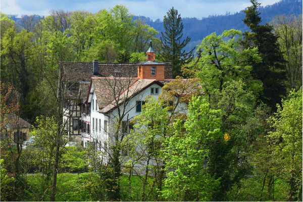 Mehrfamilienhaus Untere Weinegg, Zürich