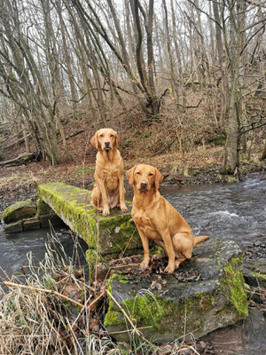 Flower und Hazel