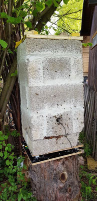 Bienenfreundliche Behausungen