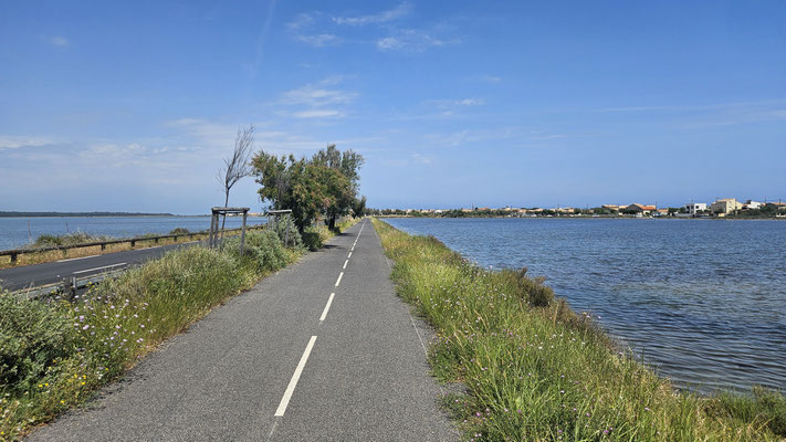 Schöner Radweg durch die Carmague