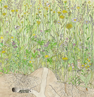 Wimmelbild Wiese - Mai, Detail, 2020, Tusche und Aquarell auf Papier, 35 x 40 cm