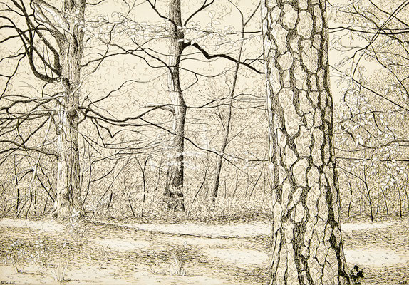 Im Wald, 2019, Tusche und Farbstift auf Papier, 21 x 29,7 cm, verkauft