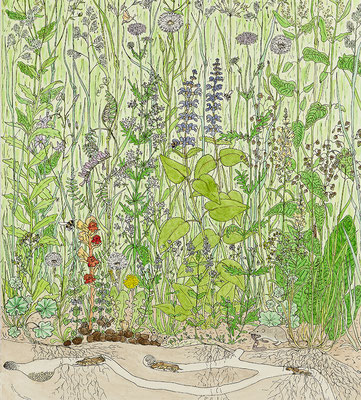 Wimmelbild Wiese - Juni, Detail, 2020, Tusche und Aquarell auf Papier, 35 x 40 cm