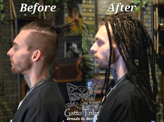 Dreaderstellung, neue Dreads in Berlin 084 (20 Dreads)