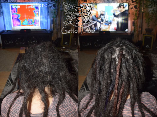 Dreadpflege Ansatzpflege in Berlin 026 (Aus 30 Dreads 44 gemacht. gespalten, mit Extensions verlängert)